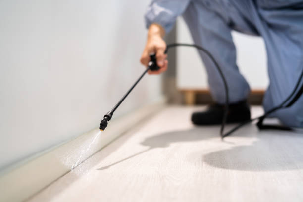 Licensed Pest Control service in Springfield, VA - Show Me Pest Control